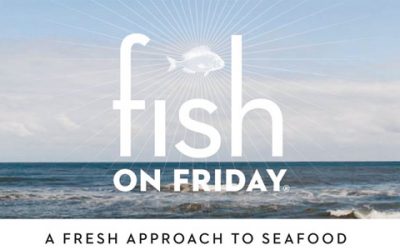 Supporting the UK’s fishing industry through COVID-19 and beyond: Grants Programme Launched